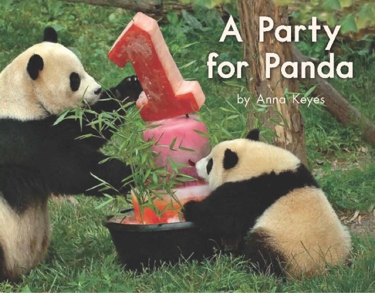 Heinemann G2-64: A Party for Panda