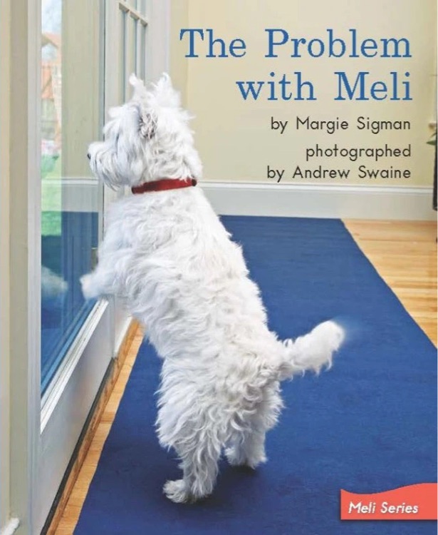 Heinemann G2-71: The Problem with Meli