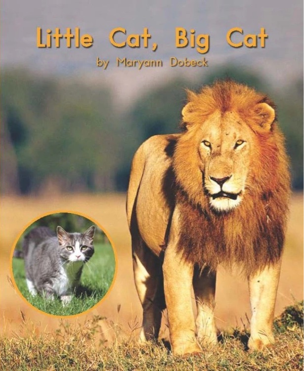 Heinemann G2-95: Little Cat Big Cat