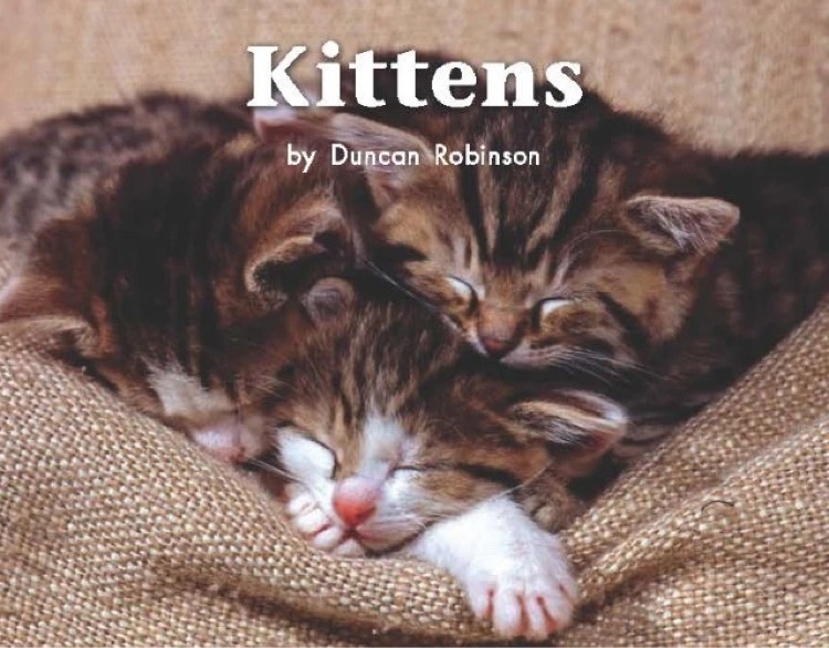 Heinemann G2-26: Kittens