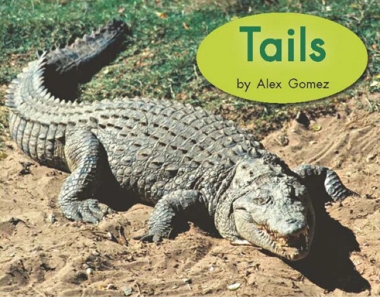 Heinemann G2-32: Tails