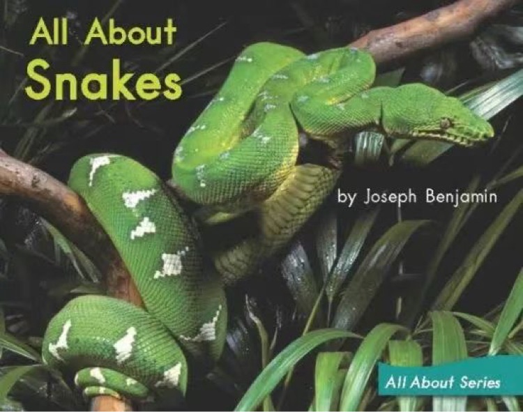 Heinemann G2-30: All About Snakes
