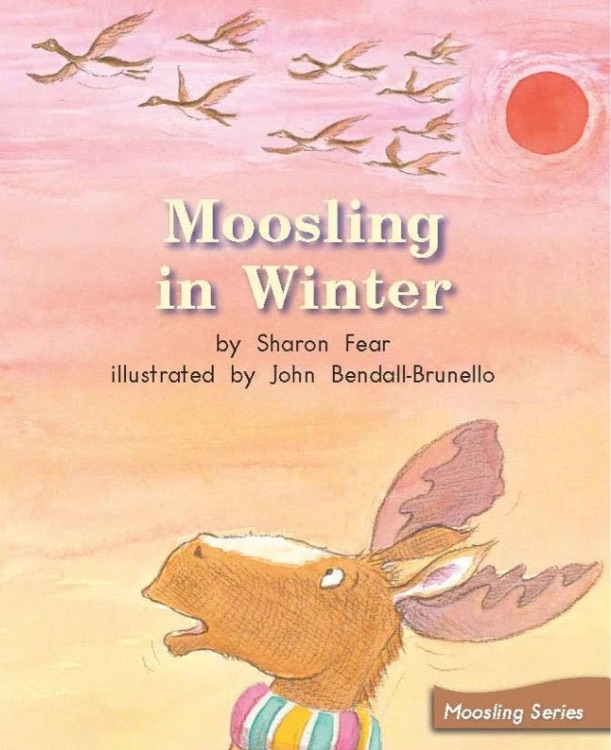 Heinemann G2-102: Moosling in Winter
