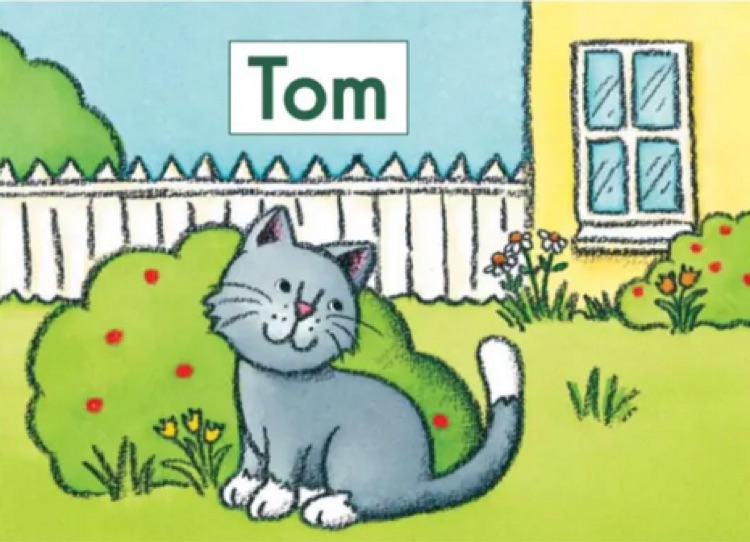 Heinemann Gk-09: Tom