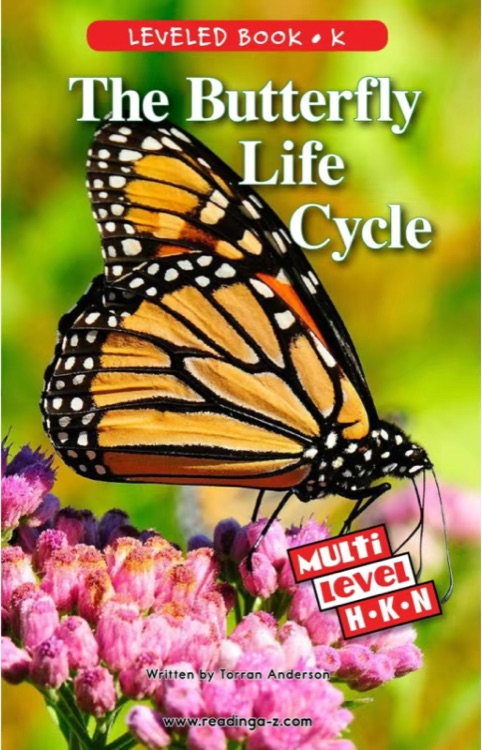 The Butterfly Life Cycle (RAZ N)