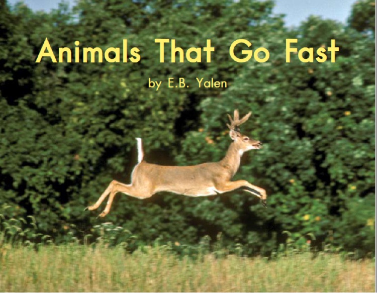 Heinemann Gk-70: Animals That Go Fast