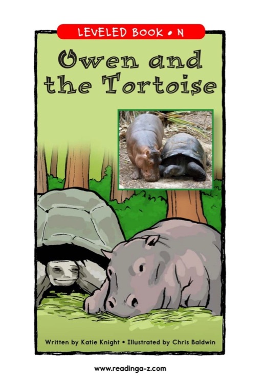 Owen and the Tortoise (RAZ N)