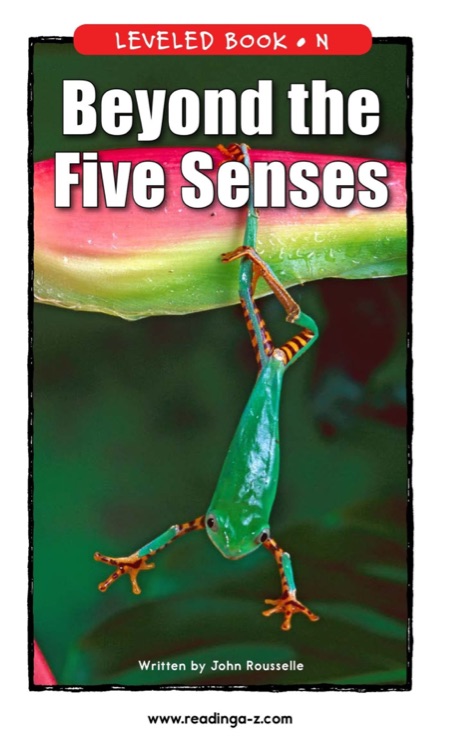 Beyond the Five Senses (RAZ N)