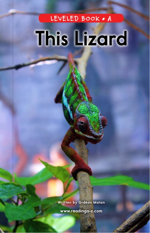 98 This Lizard (RAZ A)