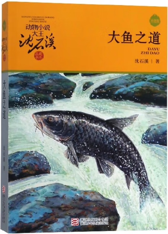 大魚之道