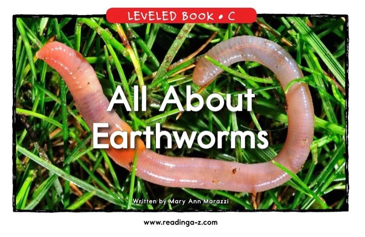 All About Earthworms
