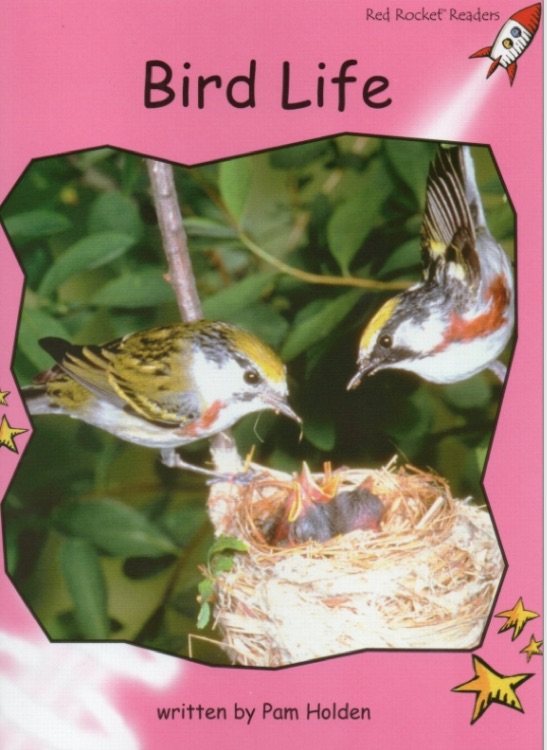 Red Rocket Readers Pre-reading level: Bird Life