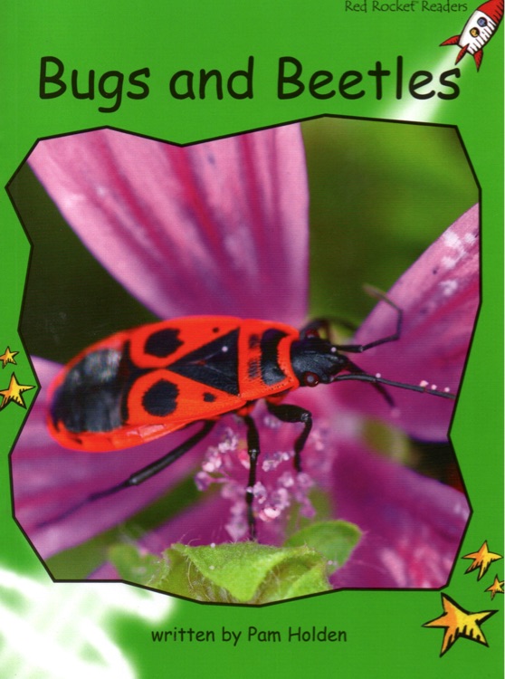 Bugs and Beetles (Red Rocket Readers)