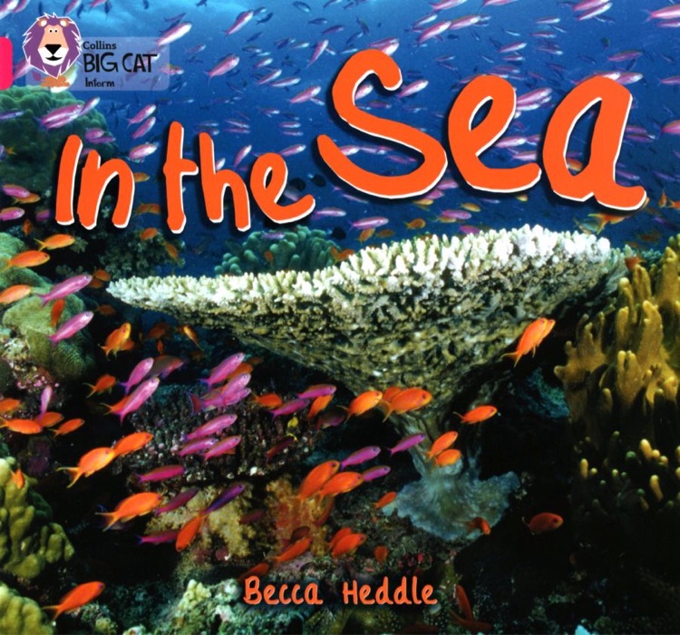 大貓英語分級閱讀·一級4-02: In the Sea