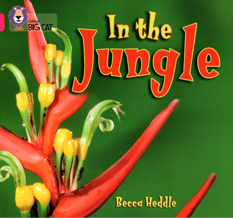 大貓英語分級(jí)閱讀·一級(jí)4-01: In the Jungle