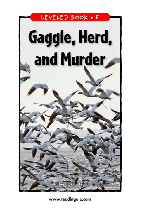 01 Gaggle, Herd, and Murder (RAZ F)
