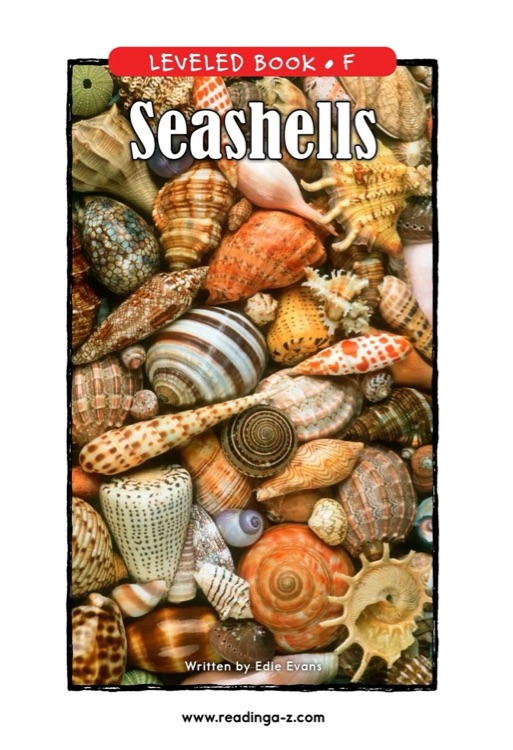 08 Seashells (RAZ F)