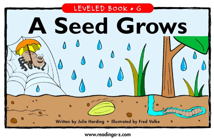 02 A Seed Grows (RAZ G)