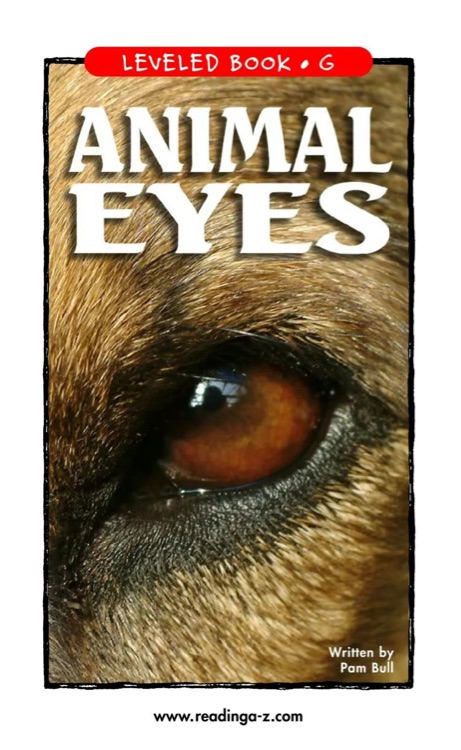 03 ANIMAL EYES (RAZ G)