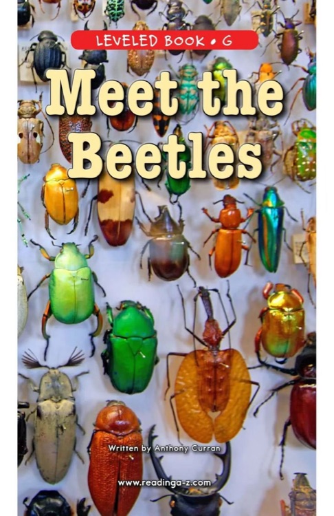 71 Meet the Beetles (RAZ G)