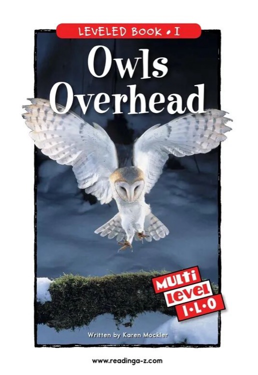 Owls Overhead (RAZ I)