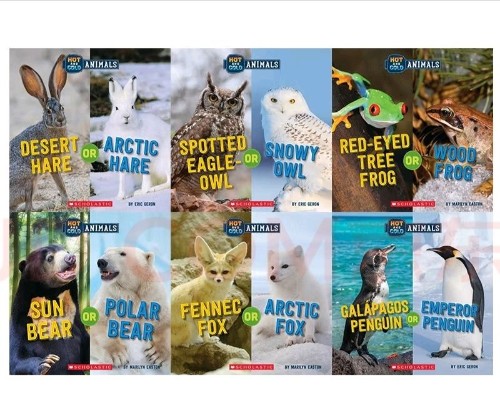 Hot and Cold Animals 6冊(cè) STEM
