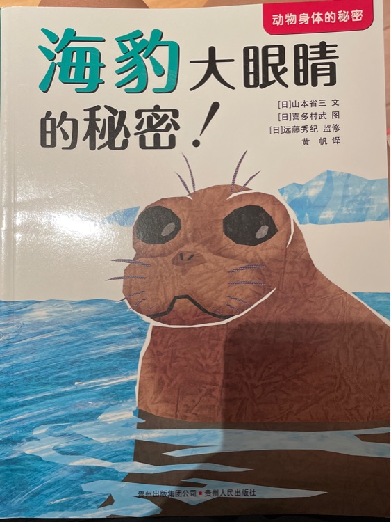 海豹大眼睛的秘密