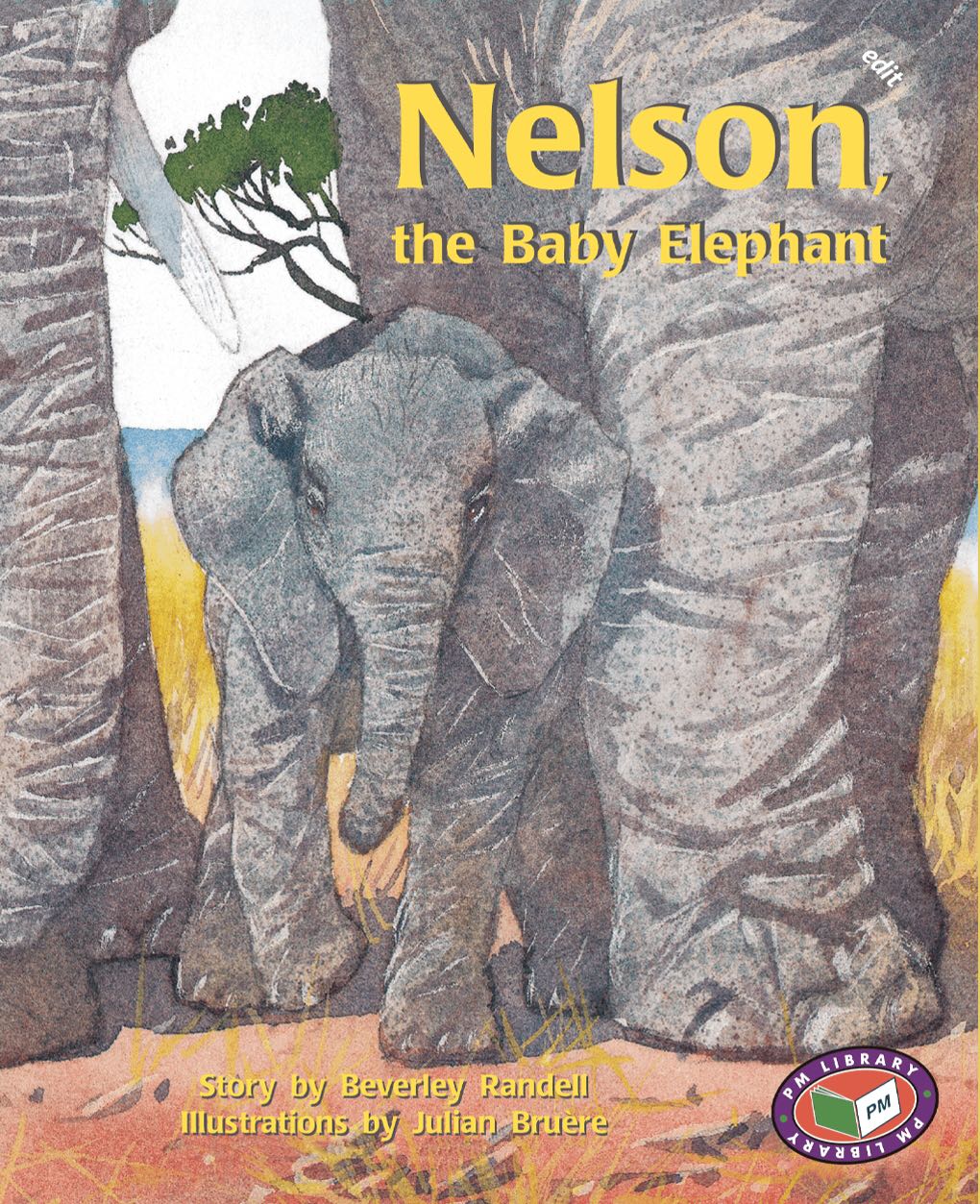 Nelson, the Baby Elephant PM Turquoise Set A