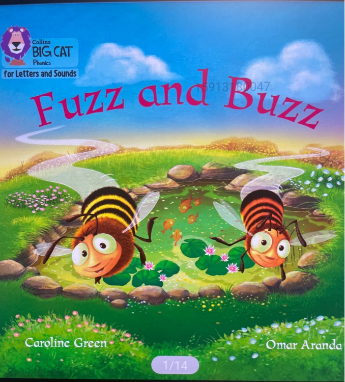 fuzz and buzz