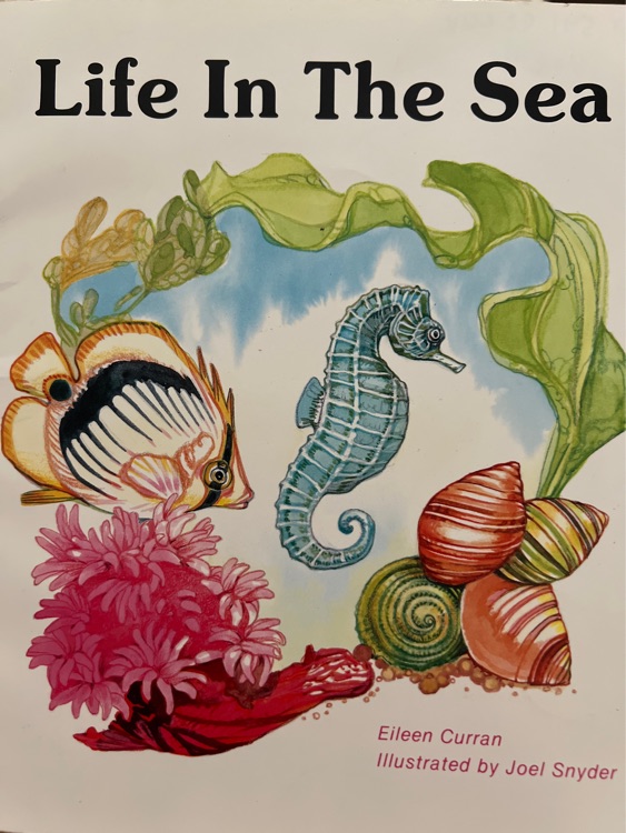 life in the sea