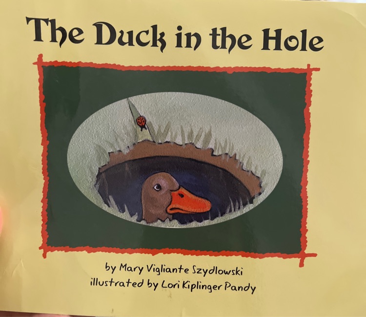 the duck in the hole