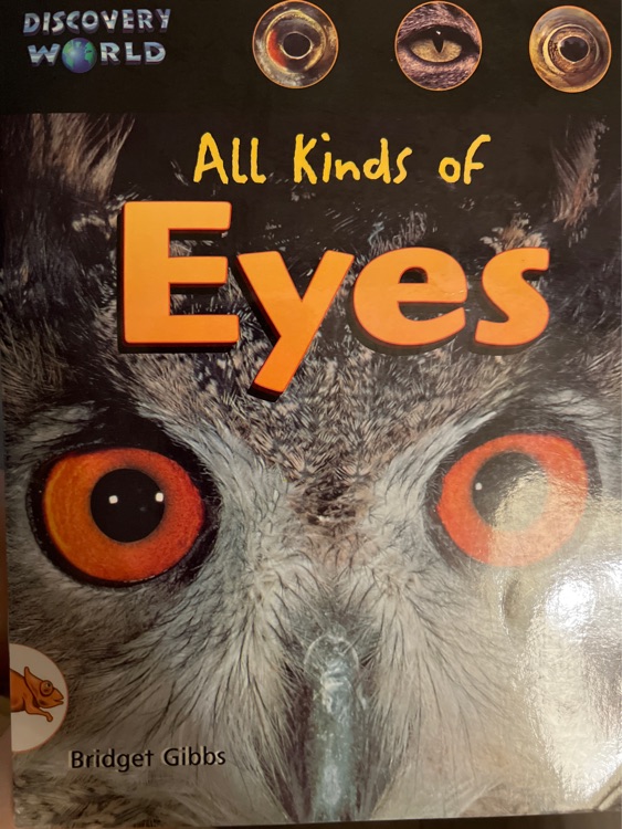 All kinds of eyes