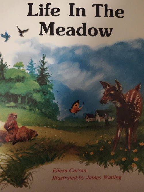 Life in the meadow