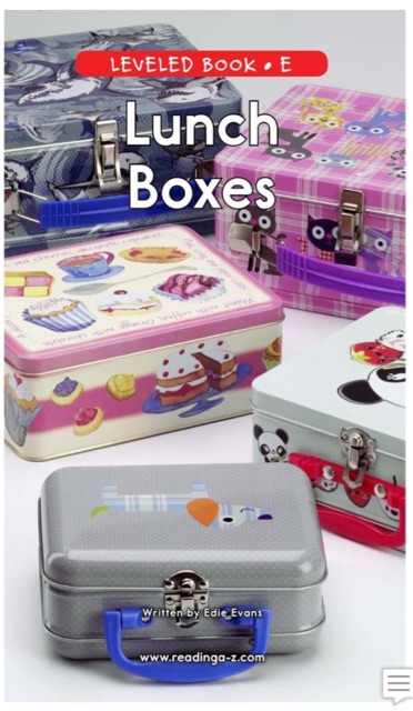 37 Lunch Boxes (RAZ E)