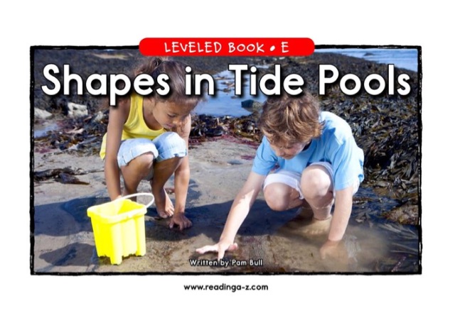 19 Shapes in Tide Pools (RAZ E)