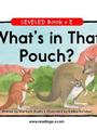 08 What's in That Pouch?(RAZ E)