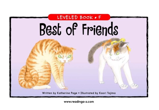 12.Best of Friends (RAZ F)