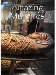 62 Amazing Mummies(RAZ G)