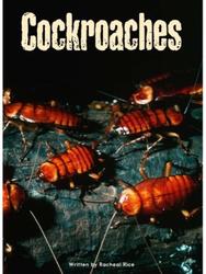 64 Cockroaches(RAZ G)