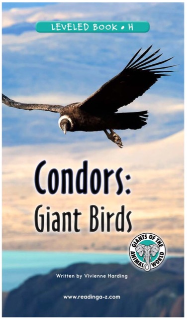 18 Condors: Giant Birds (RAZ H)