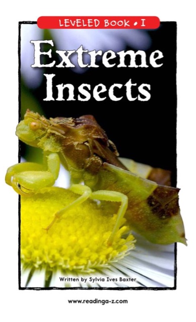 Extreme Insects (RAZ I)