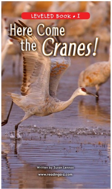 Here Come the Cranes! (RAZ I)