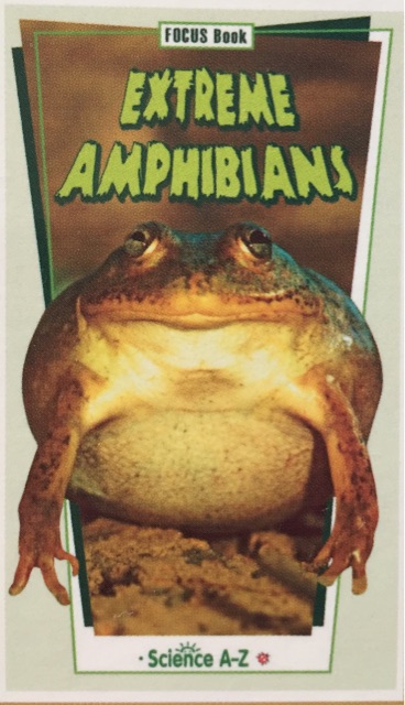 EXTREME AMPHIBIANS SAZ