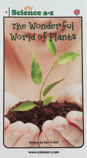 The Wonderful World of Plants