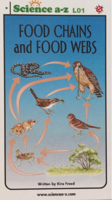 FOOD CHAINS and FOOD WEBS