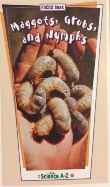 Maggots,Grubs,and Nymphs