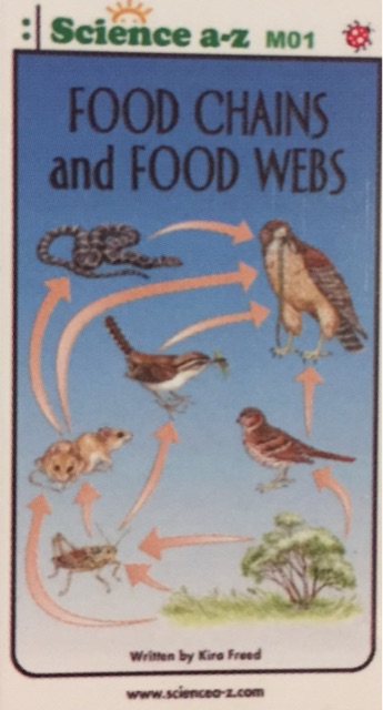 Food Chains Food Webs