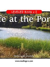 Life at the Pond(RAZ I)