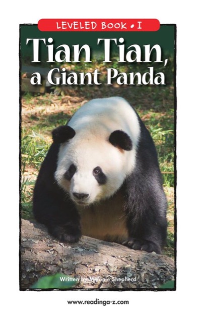 Tian Tian, a Giant Panda (RAZ I)