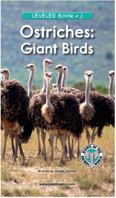 Ostriches: Giant Birds (RAZ J)